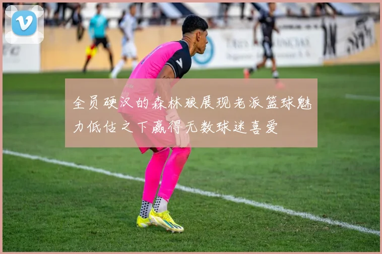 全员硬汉的森林狼展现老派篮球魅力低估之下赢得无数球迷喜爱